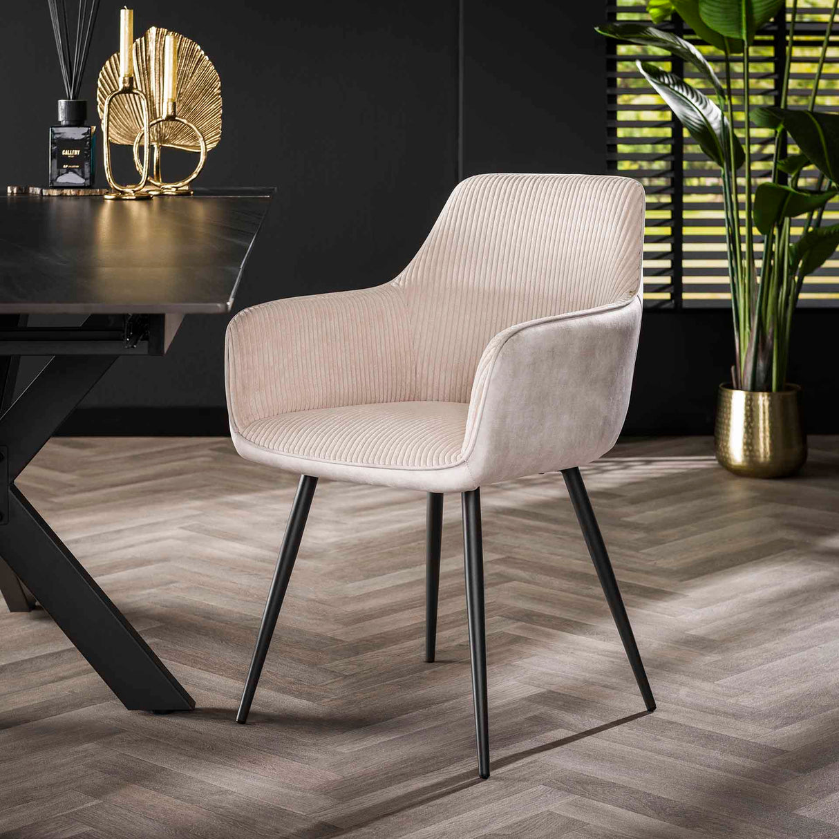 Sæt med 2 spisestuestole Rivo Rib Rock Ivory