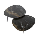Niora Organische Salontafel Set van 2 Keramiek Fossil Black